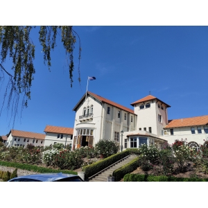 Study in New Zealand